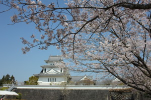 春の天ケ城は美しい＾＾